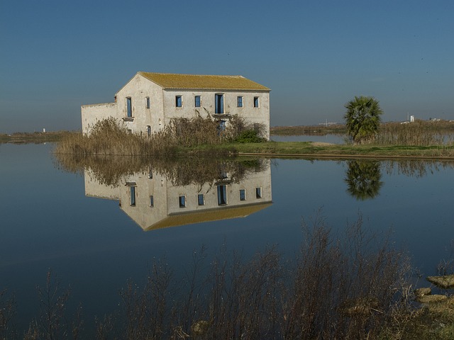 visitar la Albufera y el Palmar Valencia